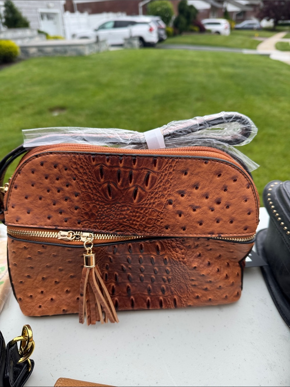 Women's Tan Faux-Ostrich Crossbody Bag with Tassel
